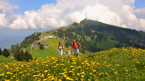 Mount Rigi & Lucerne Boat Cruise by Best of Switzerland Tours