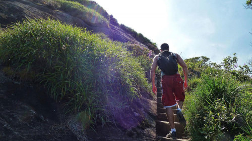 Pico da Tijuca Hiking Tour