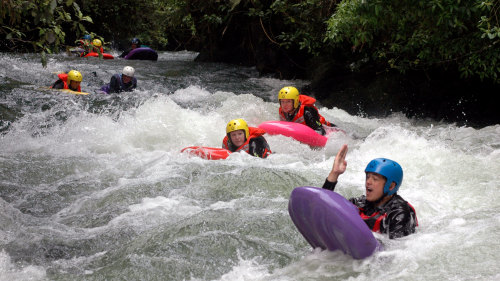 Kaituna River Sledging Experience