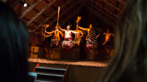 Te Puia Cultural Tour