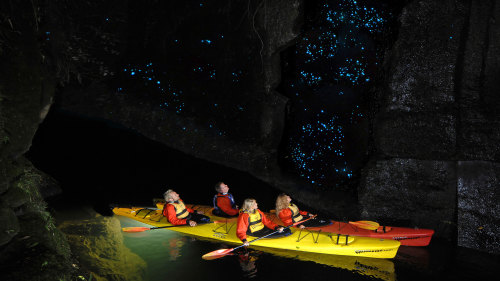 Glowworm Kayak Evening Tour by Waimarino
