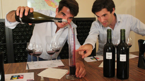 Wine Tasting Class & Saint-Émilion Vineyard Tour