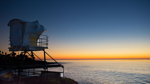 La Jolla & Torrey Pines Guided Beach Tour