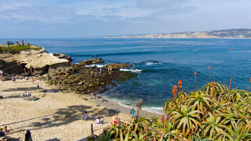 La Jolla & Mission Beach Trolley Tour