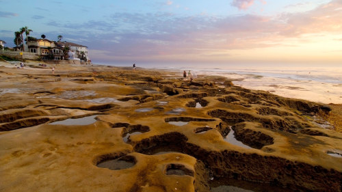 Small-Group La Jolla Tour by Another Side Tours