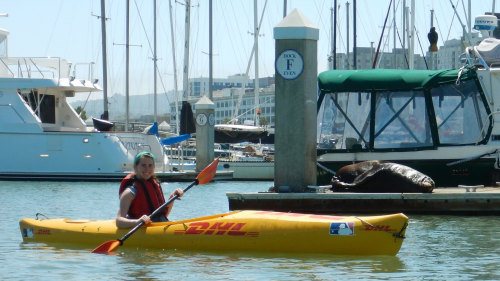 City by the Bay Family Kayaking Tour by City Kayak