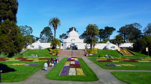 Golden Gate Park Tour & Cal Academy of Sciences by City Sightseeing