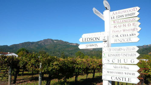 Wine Country Tour by San Francisco Sightseeing