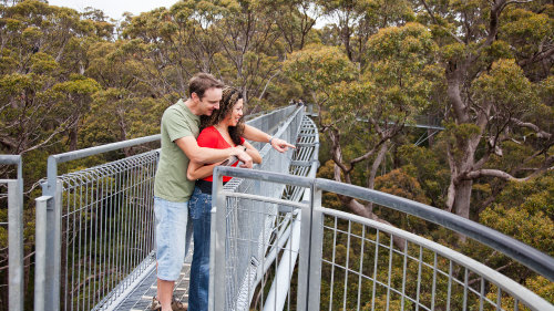 Valley of the Giants TreeTop Walk by Australian Pinnacle Tours