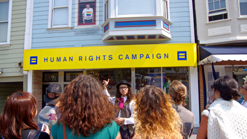 The Castro & the Gay Rights Movement Walking Tour by Wild SF Tours