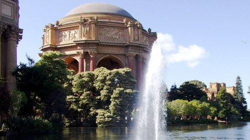Combo Bus Package: City Sightseeing & Muir Woods Excursion by Tower Tours