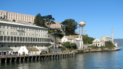 Muir Woods with Alcatraz Visit by Tower Tours