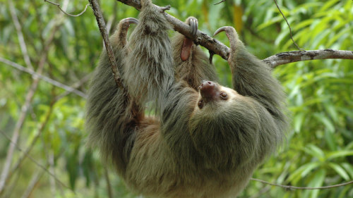 Manuel Antonio National Park Coastal Eco-Trek