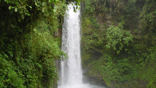 Poas Volcano, Doka Coffee Estate & La Paz Waterfall Gardens Tour