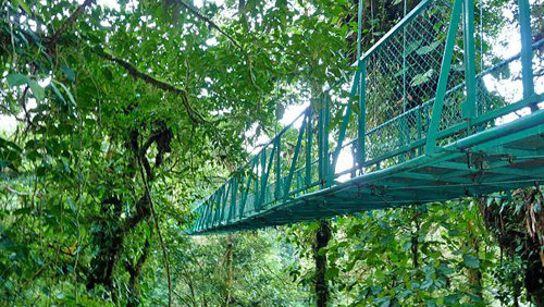 Monteverde Skywalk