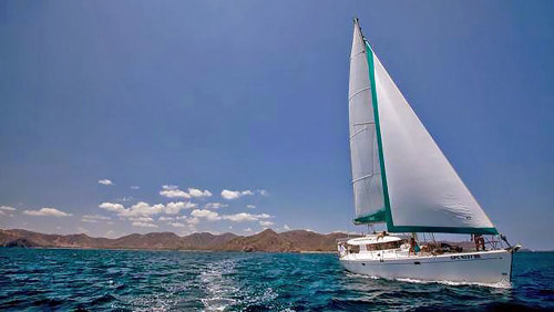 Pura Vida Sailing