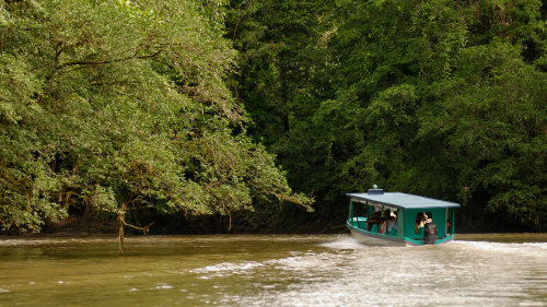 Horseback Riding & Rainforest Boat Tour