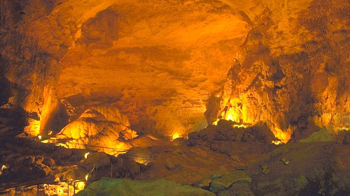 Camuy Caves & Arecibo Observatory Guided Tour