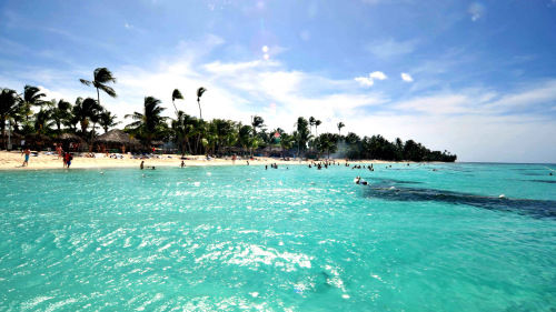 Saona Island & Palmilla Beach Full-Day Tour