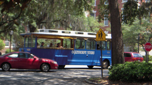 Hop-On Hop-Off Trolley Tour