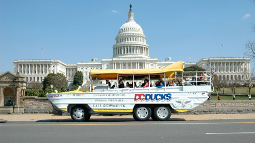 Ride the Ducks: Amphibious City Tour