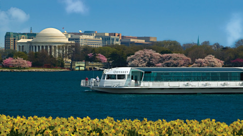 Elegant Brunch Cruise aboard the Odyssey of Washington, DC