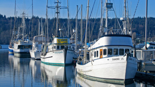 Bainbridge Island & Kitsap Peninsula Half-Day Tour