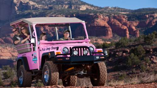 Pink Jeep Tours: Ancient Ruins & Diamondback Gulch Tour