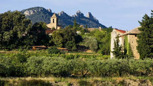 Small-Group Mont Ventoux Region with Wine Tasting