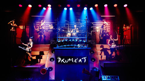 Drum Cat Performance with Transfer by Seoul City Tour