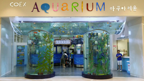 COEX Aquarium, Bongeunsa Temple & Han River Cruise by Seoul City Tour