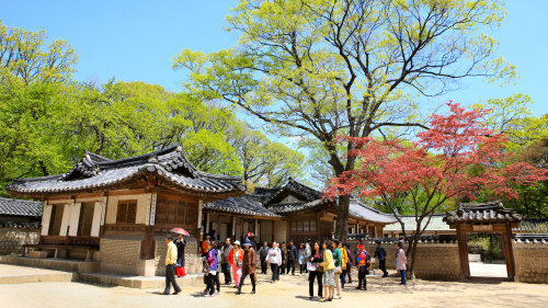Changdeokgung Palace, Secret Garden & National Museum Tour by Kim