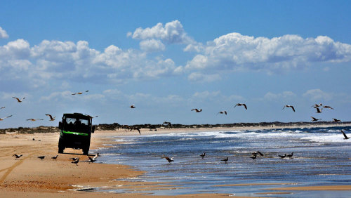 Doñana National Park Half-Day Tour