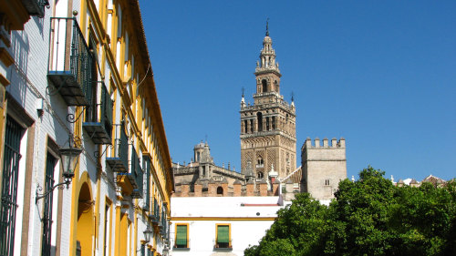 Historic Seville Half-Day Tour