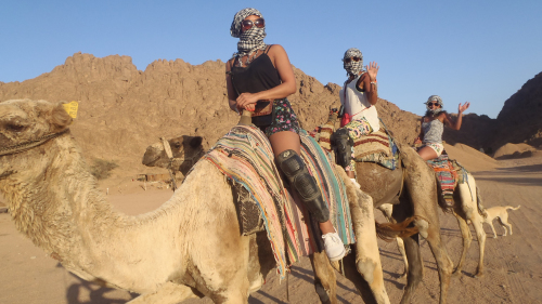 Sunset Camel Safari with Bedouin Barbecue Dinner