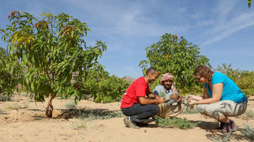 Small-Group Egyptian Farming 101 by Urban Adventures