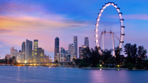 Flyer Observation Wheel Admission