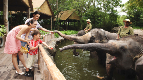 Singapore Zoo Admission with Transfer