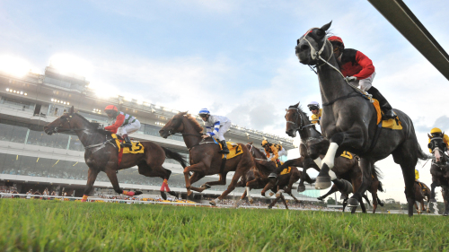 Singapore Turf Club: Horseracing with Owners