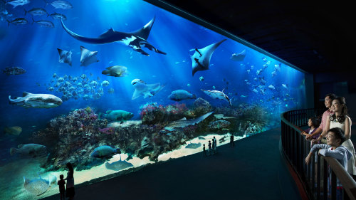 SEA Aquarium™ 1-Day Pass with Transfer by Tour East Singapore
