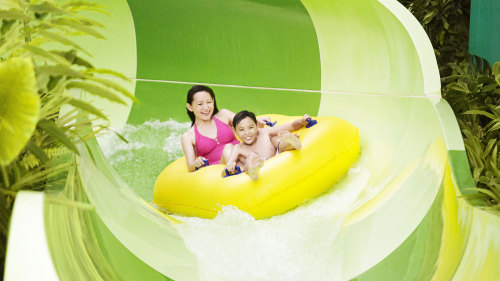 Adventure Cove Waterpark™ 1-Day Pass with Transfer by Tour East Singapore