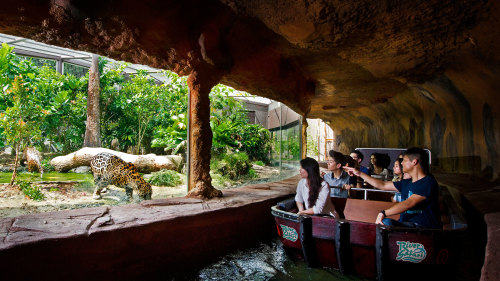 River Safari Admission with Transfer