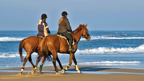 Horse Riding Experience on the Beaches of Sintra with a Local