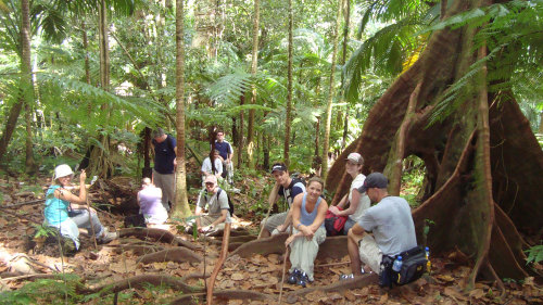 Half-Day Rainforest Hike