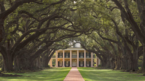 Oak Alley & Laura Plantation Tour