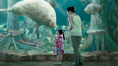 River Safari Admission