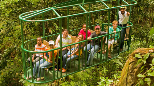 Rainforest Aerial Tram