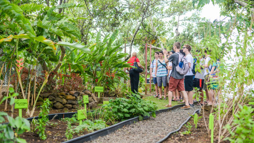 Essence of St Lucia: Gardens & History Tour