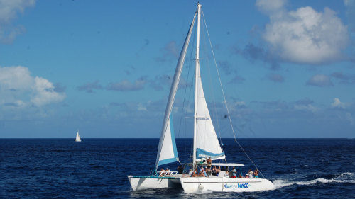 Tout Bagay Catamaran Cruise & Tour