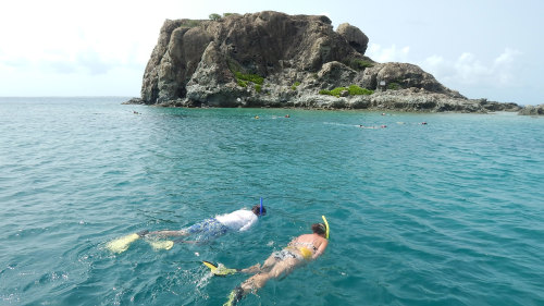 Sand Dollar Snorkeling